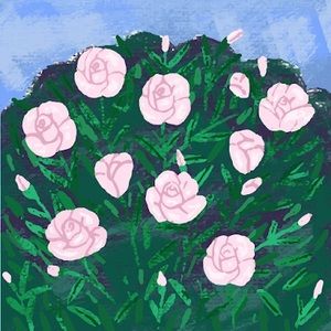 Meet your Posher, Wendy